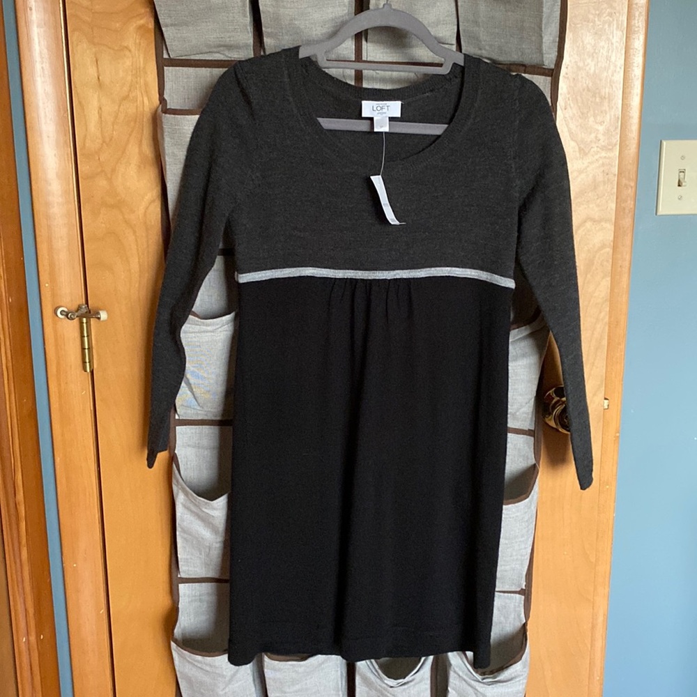 Ann Taylor Loft Knit Dress Size Petite Small NWT Beautiful!